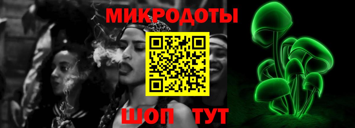 Галлюциногенные грибы Psilocybe Советская Гавань
